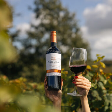 🍷 Autumn Harvest Wine Tasting