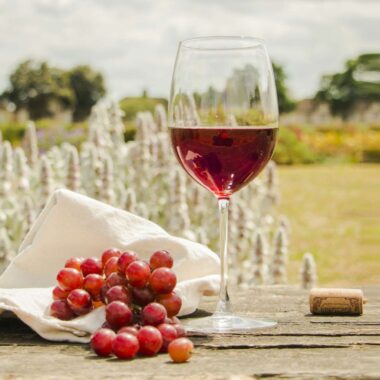 🍷 Autumn Harvest Wine Tasting